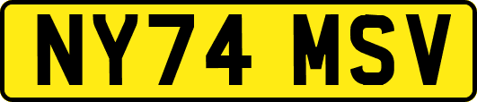 NY74MSV
