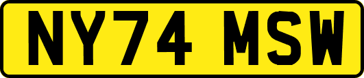 NY74MSW