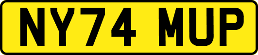 NY74MUP