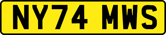 NY74MWS