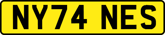 NY74NES