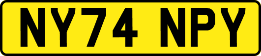 NY74NPY
