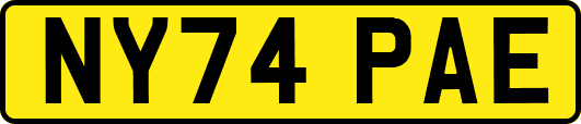 NY74PAE