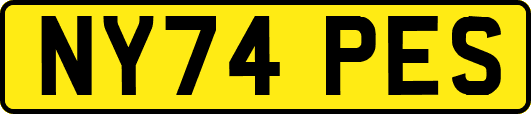 NY74PES