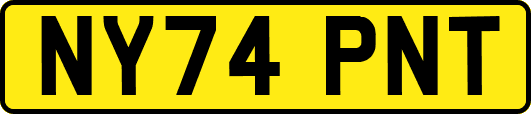 NY74PNT
