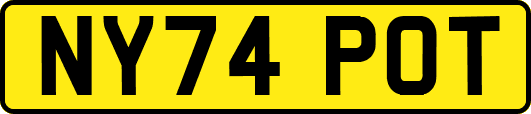 NY74POT
