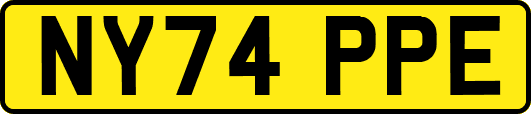 NY74PPE