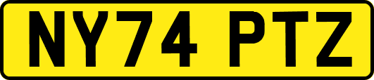 NY74PTZ