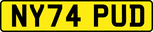 NY74PUD