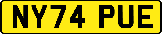 NY74PUE