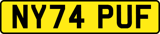 NY74PUF