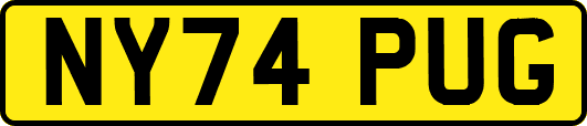 NY74PUG