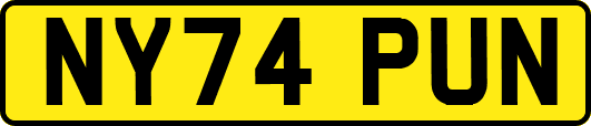 NY74PUN