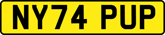 NY74PUP