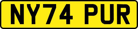 NY74PUR