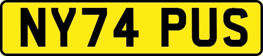 NY74PUS