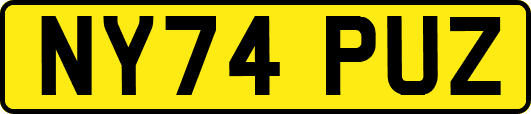 NY74PUZ
