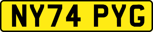 NY74PYG