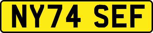 NY74SEF