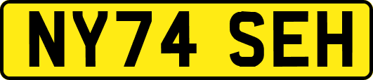 NY74SEH