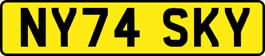 NY74SKY