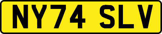 NY74SLV