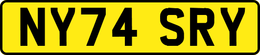 NY74SRY