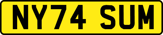 NY74SUM