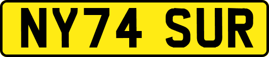 NY74SUR
