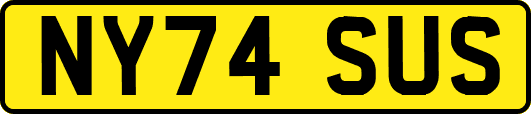 NY74SUS