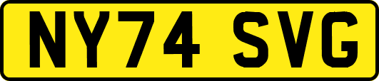 NY74SVG