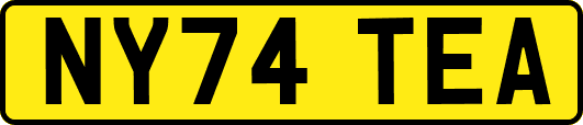 NY74TEA