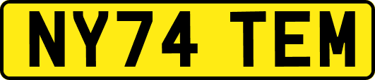 NY74TEM