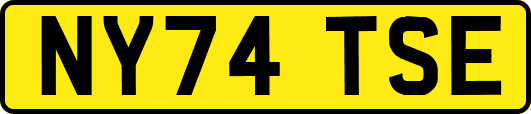 NY74TSE