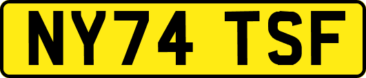 NY74TSF