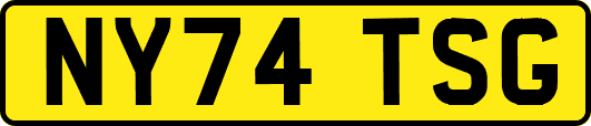 NY74TSG