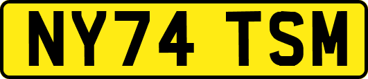 NY74TSM