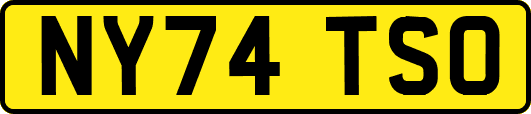 NY74TSO