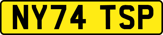 NY74TSP