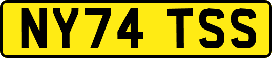 NY74TSS