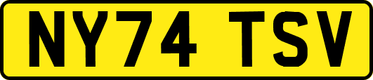 NY74TSV