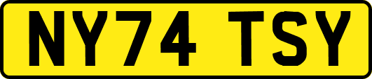 NY74TSY
