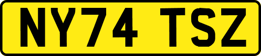 NY74TSZ
