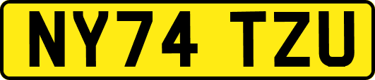 NY74TZU