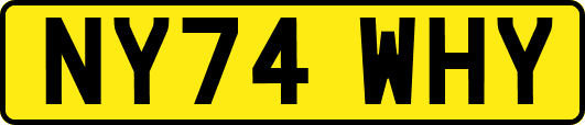 NY74WHY