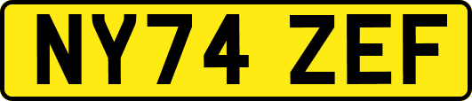 NY74ZEF