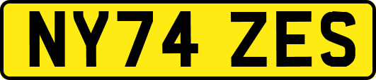 NY74ZES