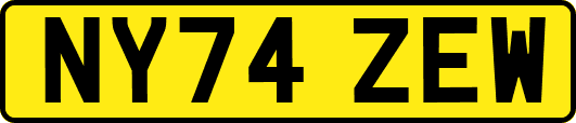 NY74ZEW
