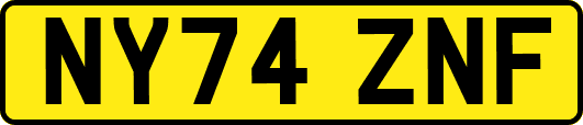 NY74ZNF