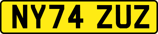NY74ZUZ